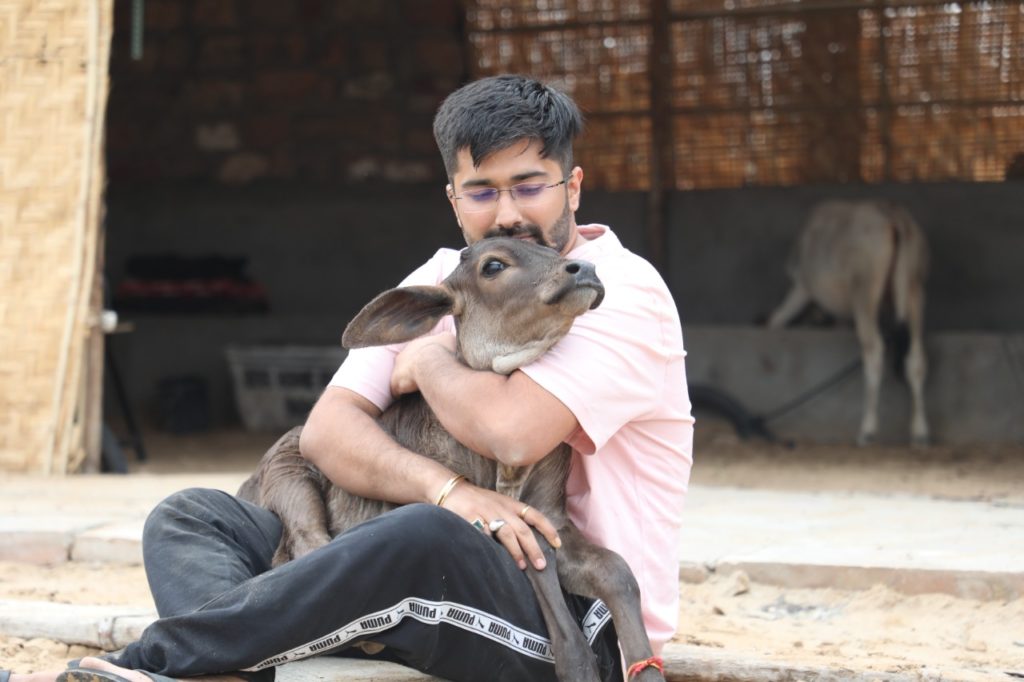 Dog Home Foundation जोधपुर के माध्यम से प्रतिदिन हजारों गायों का टीकाकरण किया जा रहा है