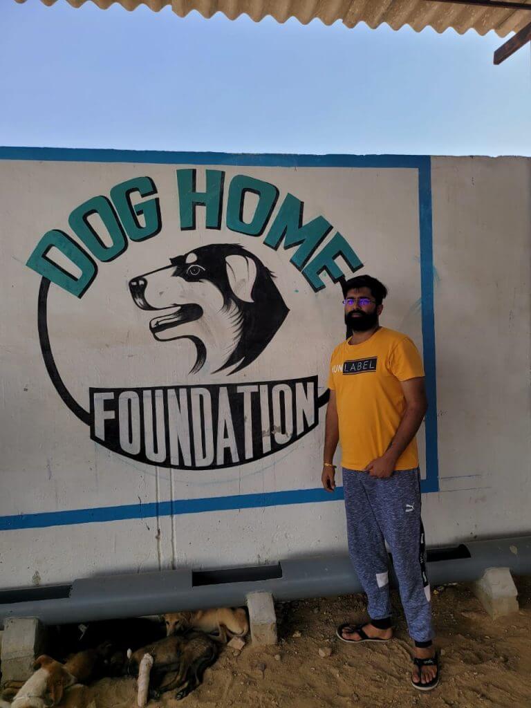 Dog Home Foundation जोधपुर के माध्यम से हजारों गायों का प्रतिदिन निरंतर किया जा रहा है
