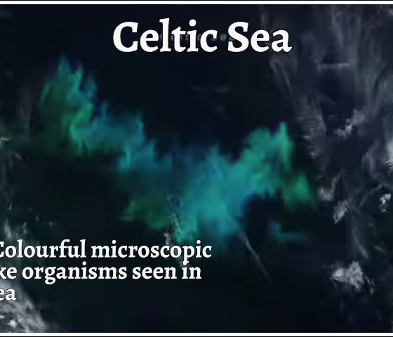 Celtic Sea