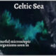 Celtic Sea
