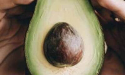 Ways to Eat Avocado