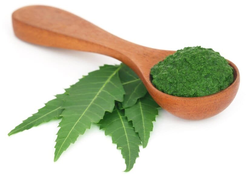 neem cancer 1732796016698