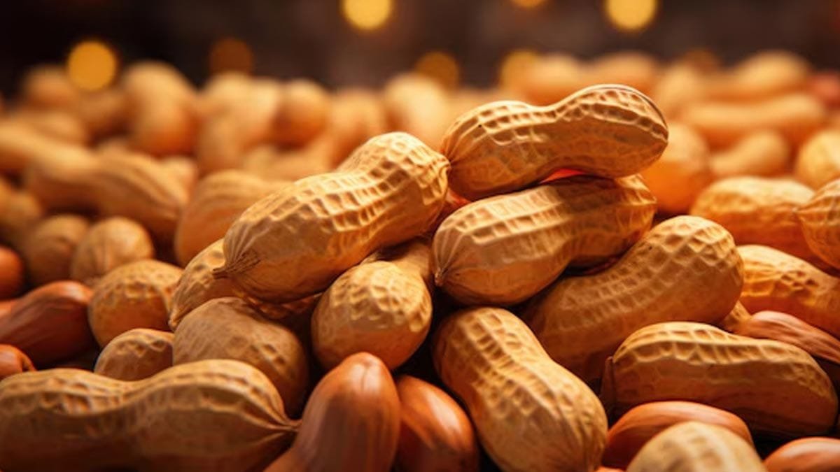 7 Amazing Benefits of Eating Peanuts in the Winter Season 101 pe