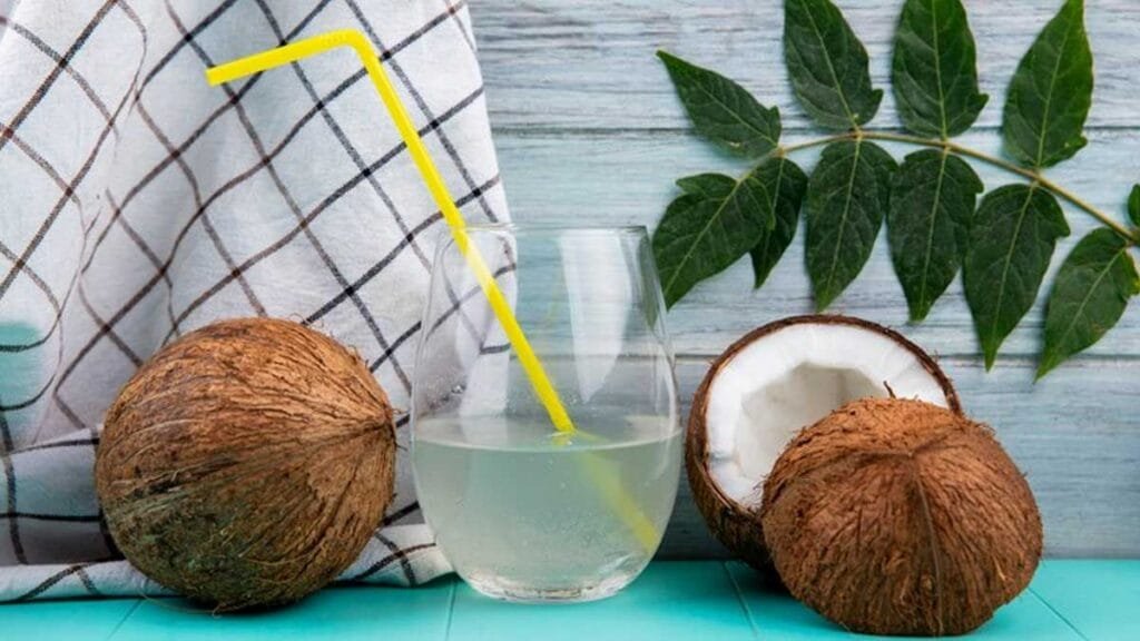 benefit of having coconut water as pre workout 1734335474434
