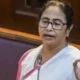 mamta