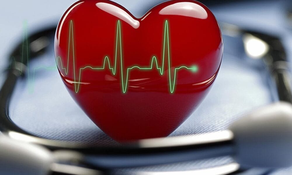 heart