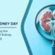 kidneys