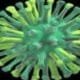 h5n1