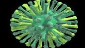 h5n1