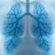 8 Natural Ways to Clean Our Lungs 147 lungs