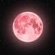 The April Pink Moon 2025: A Rare Micromoon Rising on April 12 141 pink moon