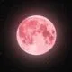 pink moon