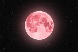 pink moon