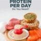 proteins