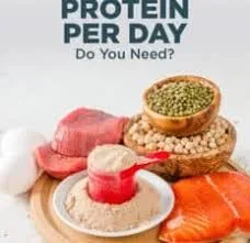 proteins