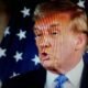 D Trump