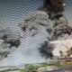 Israel Airstrikes in Syria’s Sweida: Military Posts and Weapon Depots Destroyed 157 Syria