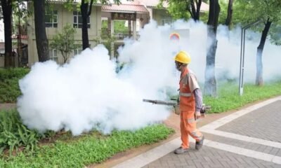 China chikungunya outbreak precautions