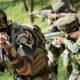 CRPF—launched a search operation in the Gudar forest area
