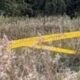 The UK Sikh Woman Rape Case