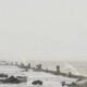 Typhoon Ragasa 2025 is set to hit the Philippines with 230 kmph winds, triggering mass evacuations- 162 Once Typhoon Ragasa 2025 exits the Philippines