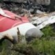 The Air India crash case