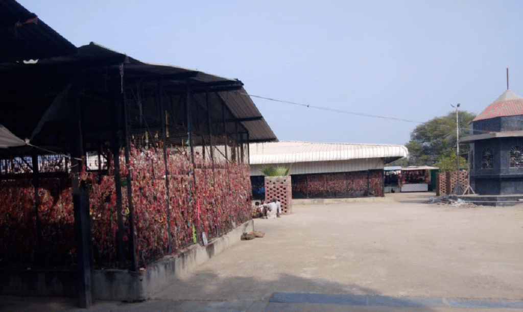 The Shani Dev Temple Ali Village in Kapasan 1