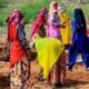 Rajasthan MGNREGA achievement sets a new benchmark as the state leads India in rural jobs before Diwali — 155 Rajasthan MGNREGA achievement is a commendable milestone