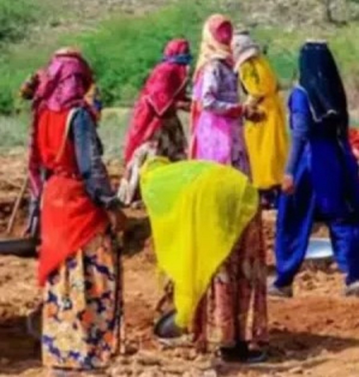 Rajasthan MGNREGA achievement sets a new benchmark as the state leads India in rural jobs before Diwali — 135 Rajasthan MGNREGA achievement is a commendable milestone