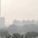 Delhi NCR air quality crisis escalates after Diwali fireworks as pollution soars— 163 The Delhi NCR air quality crisis
