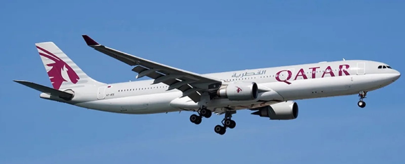 Qatar Airways Passenger Death Over Non-Veg Meal Sparks Global Outrage- 135 The Qatar Airways passenger death over non-veg meal