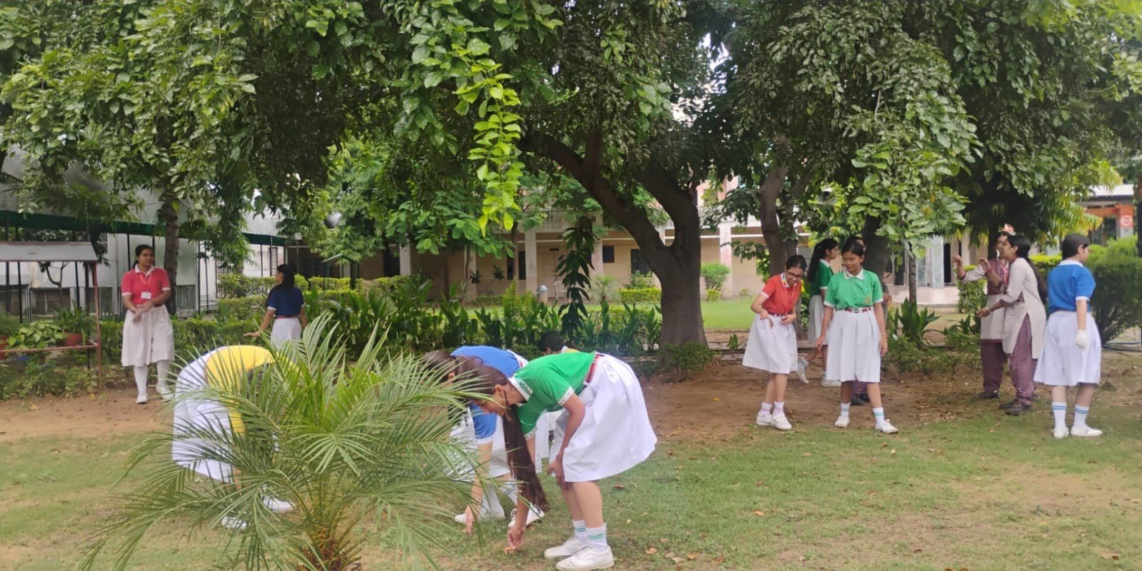 Cleanliness Drive for Swachh Bharat at DAV Jaipur- 142 The Cleanliness Drive for Swachh Bharat at DAV Jaipur