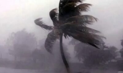 The Cyclone Montha Alert