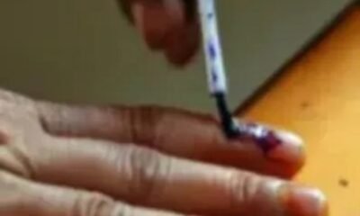 The term Rajasthan local elections deadline