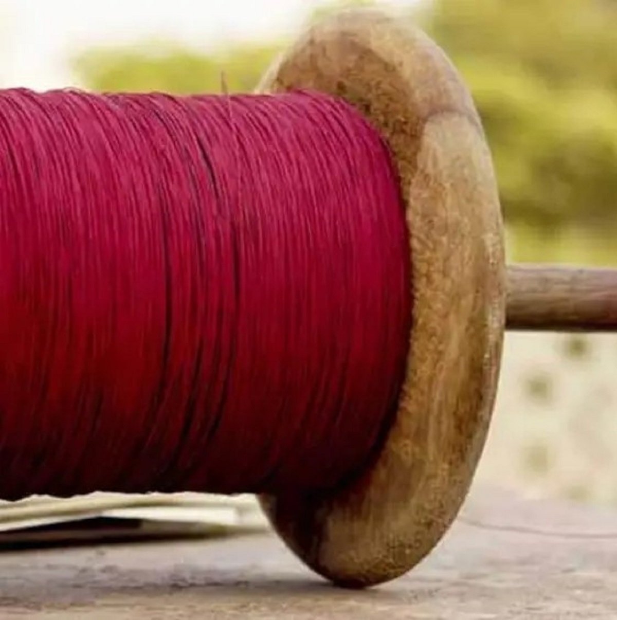 Chinese Manjha Danger is real, stated and urgent