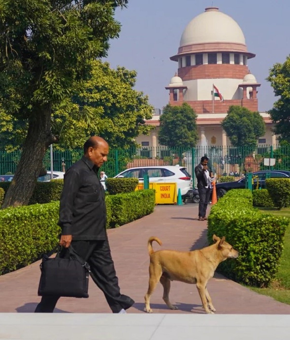 The stray dogs directive issued by the Supreme Court of India