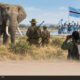 Botswana elephants in wildlife reserve